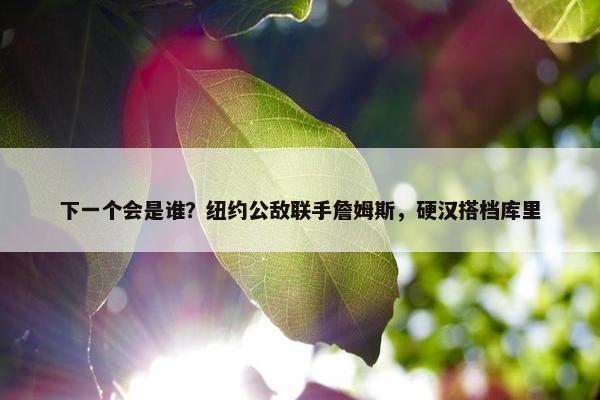 下一个会是谁？纽约公敌联手詹姆斯，硬汉搭档库里