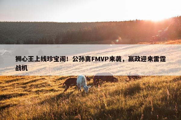 狮心王上线珍宝阁！公孙离FMVP来袭，嬴政迎来雷霆战机