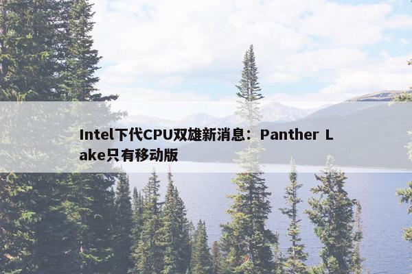 Intel下代CPU双雄新消息：Panther Lake只有移动版