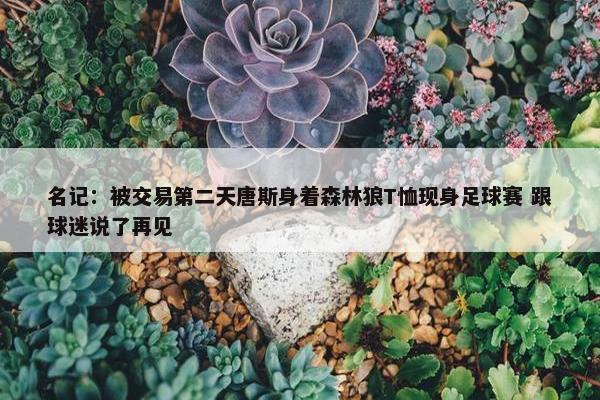 名记：被交易第二天唐斯身着森林狼T恤现身足球赛 跟球迷说了再见