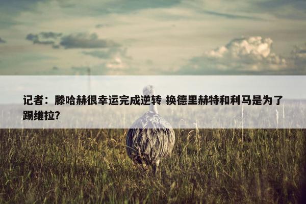 记者：滕哈赫很幸运完成逆转 换德里赫特和利马是为了踢维拉？