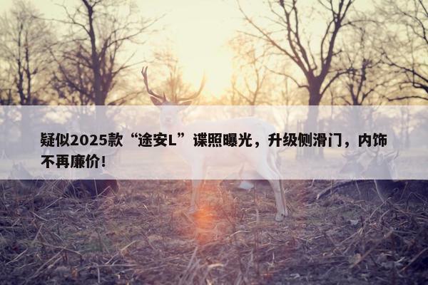 疑似2025款“途安L”谍照曝光，升级侧滑门，内饰不再廉价！