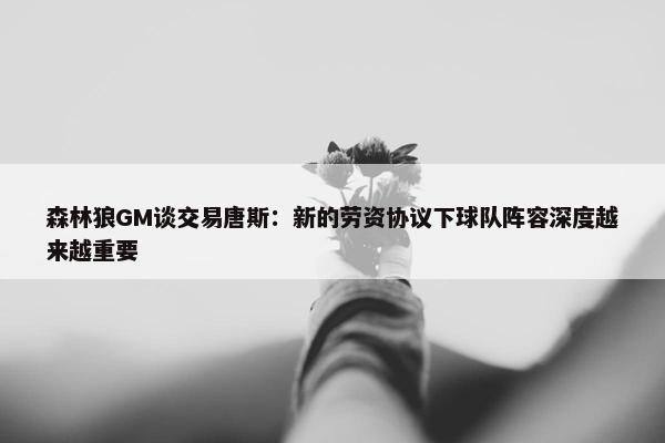 森林狼GM谈交易唐斯：新的劳资协议下球队阵容深度越来越重要