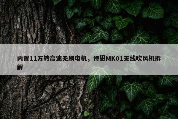 内置11万转高速无刷电机，诗恩MK01无线吹风机拆解