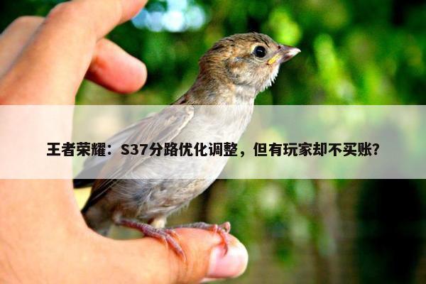 王者荣耀：S37分路优化调整，但有玩家却不买账？