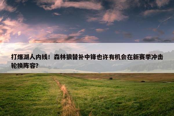 打爆湖人内线！森林狼替补中锋也许有机会在新赛季冲击轮换阵容？