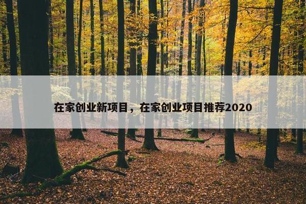 在家创业新项目，在家创业项目推荐2020