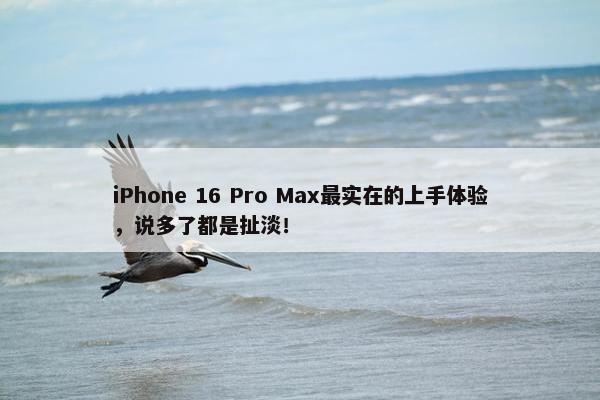 iPhone 16 Pro Max最实在的上手体验，说多了都是扯淡！