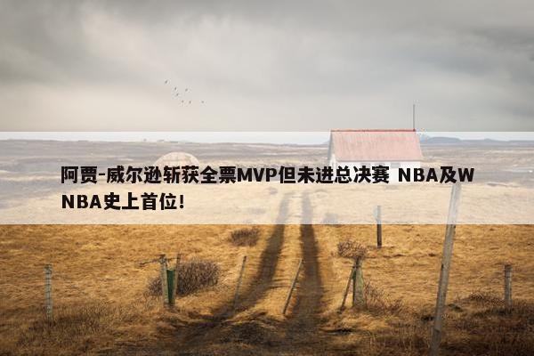 阿贾-威尔逊斩获全票MVP但未进总决赛 NBA及WNBA史上首位！