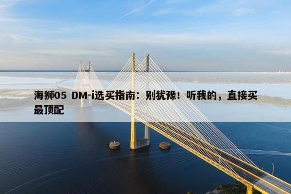 海狮05 DM-i选买指南：别犹豫！听我的，直接买最顶配