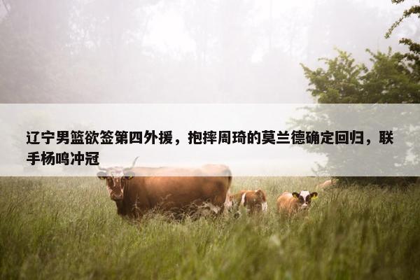 辽宁男篮欲签第四外援，抱摔周琦的莫兰德确定回归，联手杨鸣冲冠