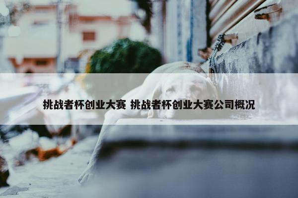 挑战者杯创业大赛 挑战者杯创业大赛公司概况