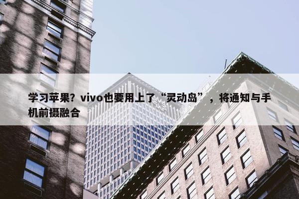 学习苹果？vivo也要用上了“灵动岛”，将通知与手机前摄融合