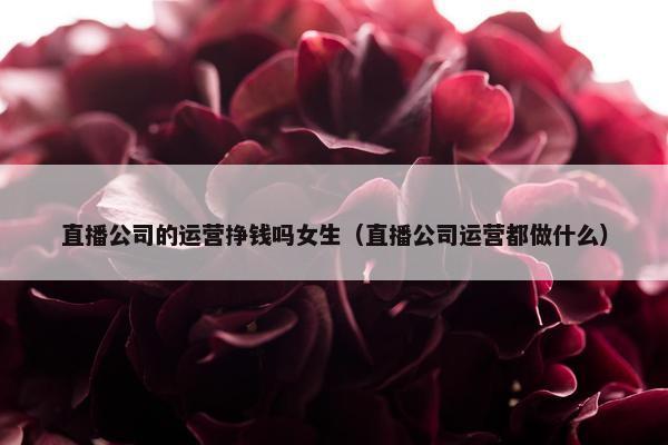 直播公司的运营挣钱吗女生（直播公司运营都做什么）