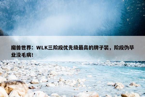 魔兽世界：WLK三阶段优先级最高的牌子装，阶段伪毕业没毛病！