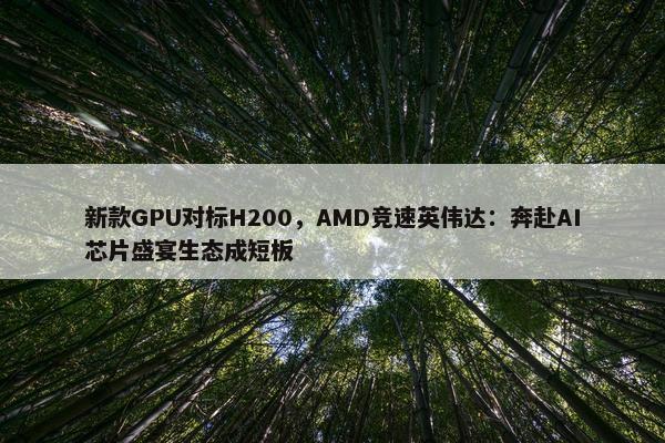 新款GPU对标H200，AMD竞速英伟达：奔赴AI芯片盛宴生态成短板