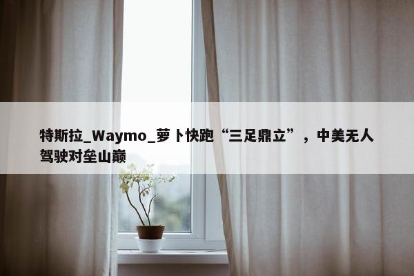 特斯拉_Waymo_萝卜快跑“三足鼎立”，中美无人驾驶对垒山巅