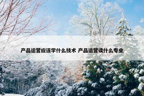 产品运营应该学什么技术 产品运营读什么专业