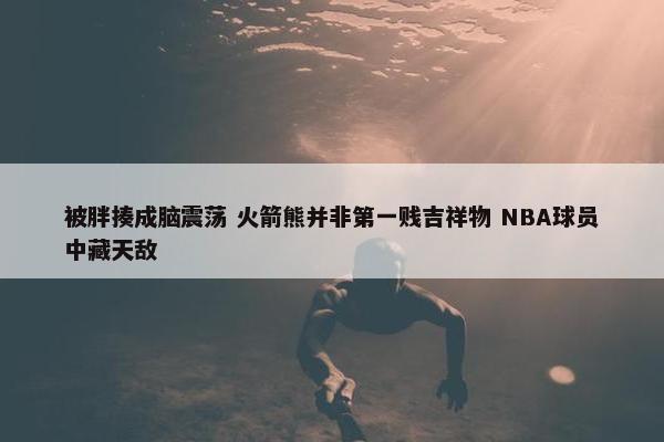 被胖揍成脑震荡 火箭熊并非第一贱吉祥物 NBA球员中藏天敌