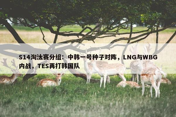 S14淘汰赛分组：中韩一号种子对阵，LNG与WBG内战，TES再打韩国队