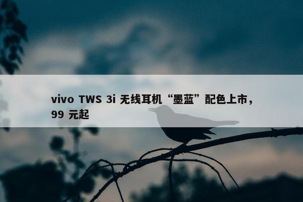 vivo TWS 3i 无线耳机“墨蓝”配色上市，99 元起