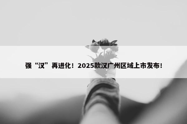 强“汉”再进化！2025款汉广州区域上市发布！