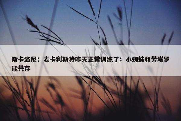 斯卡洛尼：麦卡利斯特昨天正常训练了；小蜘蛛和劳塔罗能共存