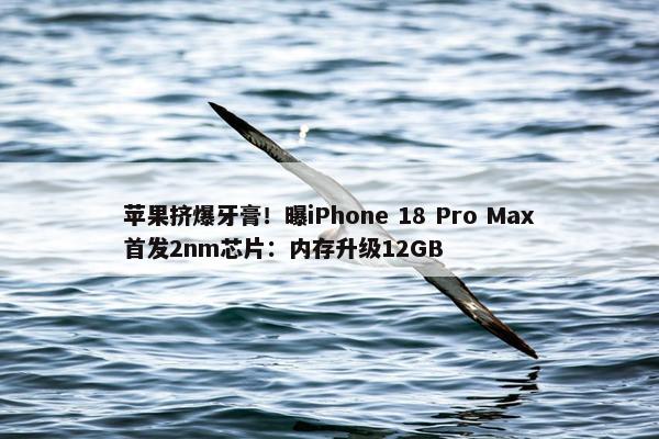 苹果挤爆牙膏！曝iPhone 18 Pro Max首发2nm芯片：内存升级12GB