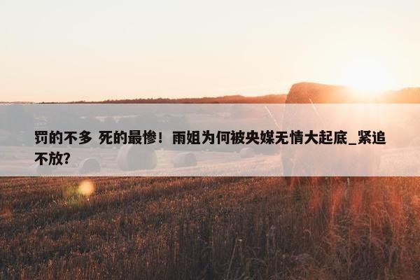 罚的不多 死的最惨！雨姐为何被央媒无情大起底_紧追不放？