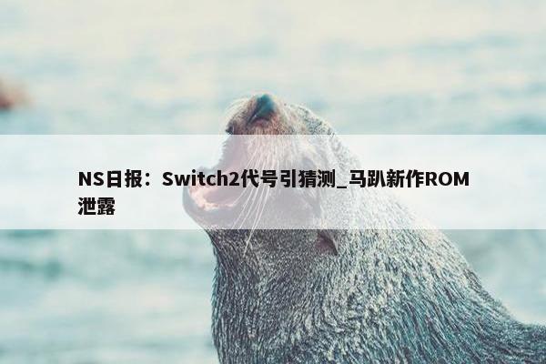 NS日报：Switch2代号引猜测_马趴新作ROM泄露