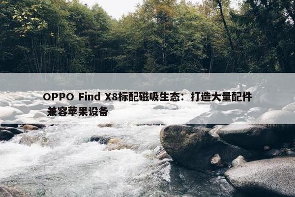 OPPO Find X8标配磁吸生态：打造大量配件 兼容苹果设备