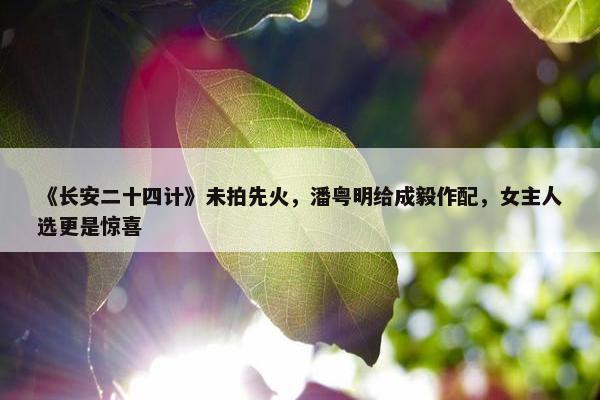 《长安二十四计》未拍先火，潘粤明给成毅作配，女主人选更是惊喜