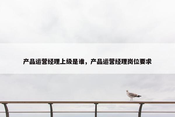 产品运营经理上级是谁，产品运营经理岗位要求