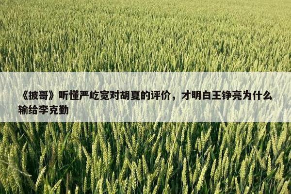 《披哥》听懂严屹宽对胡夏的评价，才明白王铮亮为什么输给李克勤