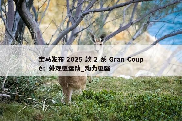 宝马发布 2025 款 2 系 Gran Coupé：外观更运动_动力更强