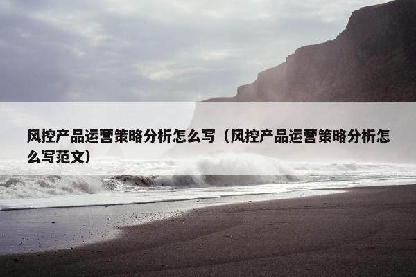 风控产品运营策略分析怎么写（风控产品运营策略分析怎么写范文）