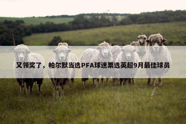 又领奖了，帕尔默当选PFA球迷票选英超9月最佳球员