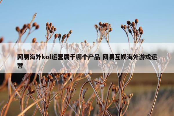 网易海外kol运营属于哪个产品 网易互娱海外游戏运营