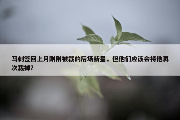 马刺签回上月刚刚被裁的后场新星，但他们应该会将他再次裁掉？