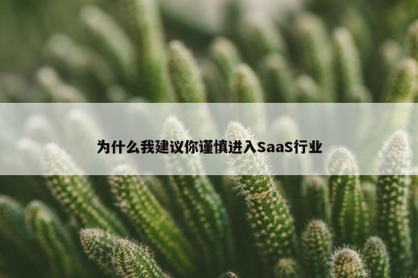 为什么我建议你谨慎进入SaaS行业