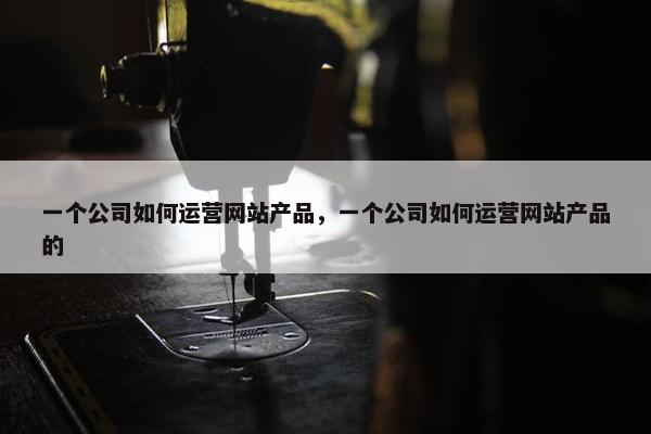 一个公司如何运营网站产品，一个公司如何运营网站产品的