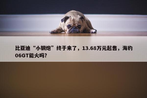 比亚迪“小钢炮”终于来了，13.68万元起售，海豹06GT能火吗？