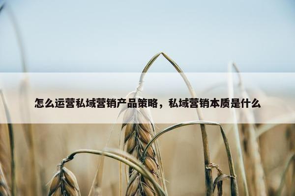 怎么运营私域营销产品策略，私域营销本质是什么