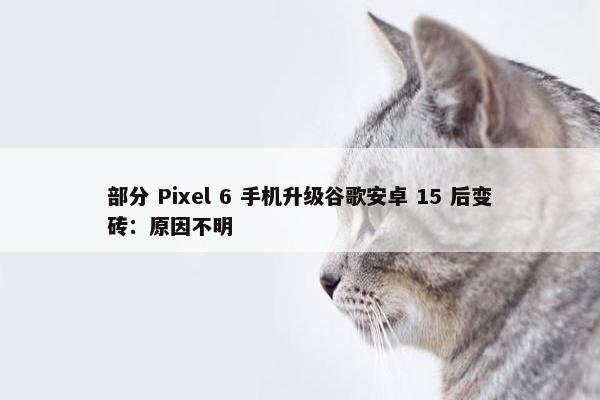 部分 Pixel 6 手机升级谷歌安卓 15 后变砖：原因不明