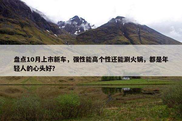 盘点10月上市新车，强性能高个性还能涮火锅，都是年轻人的心头好？