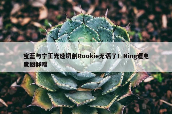 宝蓝与宁王光速切割Rookie无语了！Ning遭电竞圈群嘲