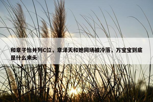 和章子怡并列C位，章泽天和她同场被冷落，万宝宝到底是什么来头