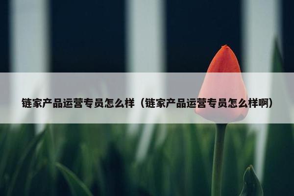 链家产品运营专员怎么样（链家产品运营专员怎么样啊）