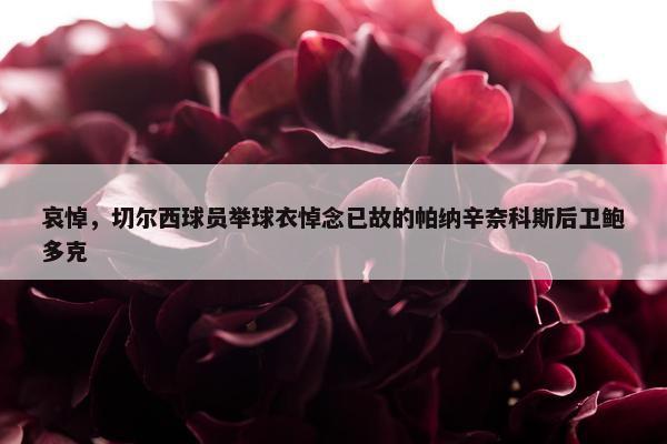 哀悼，切尔西球员举球衣悼念已故的帕纳辛奈科斯后卫鲍多克