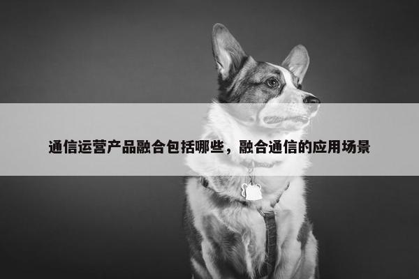 通信运营产品融合包括哪些，融合通信的应用场景